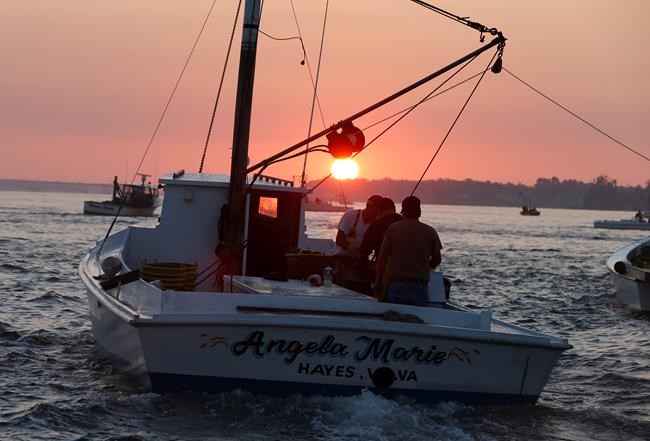 Report: Chesapeake Bay improving but huge challenges remain | iNFOnews.ca