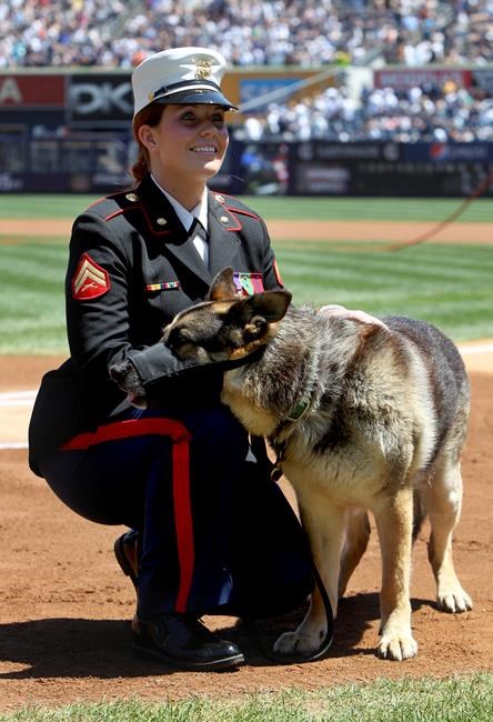 Honors for Iraq vet, K-9 portrayed in film 'Megan Leavey' | iNFOnews.ca
