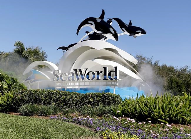 SeaWorld eliminating 125 positions, despite attendance jump | iNFOnews.ca