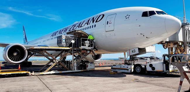 100,000 tourists stuck in New Zealand to leave as rules ease | iNFOnews.ca