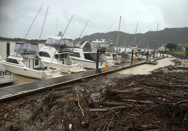 New Zealanders evacuated from parts of coast as storm hits | iNFOnews.ca