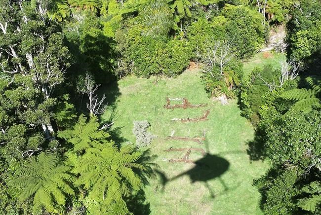 North Carolina pair survive 5 days in New Zealand wilderness | iNFOnews.ca North Carolina pair survive 5 days in New Zealand wilderness | iNFOnews.ca