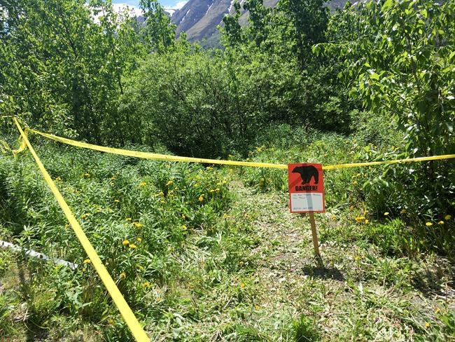 Police: Bear that mauled searcher likely killed Alaska hiker | iNFOnews.ca