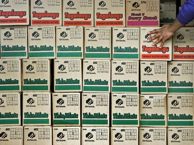 Gov proclaims Girl Scout Cookie weekend in New Hampshire | iNFOnews.ca