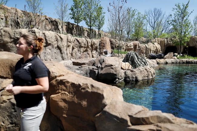 Cincinnati Zoo to provide news media first look at Fiona | iNFOnews.ca Cincinnati Zoo to provide news media first look at Fiona | iNFOnews.ca