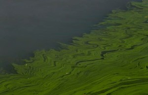 CP2143678129
