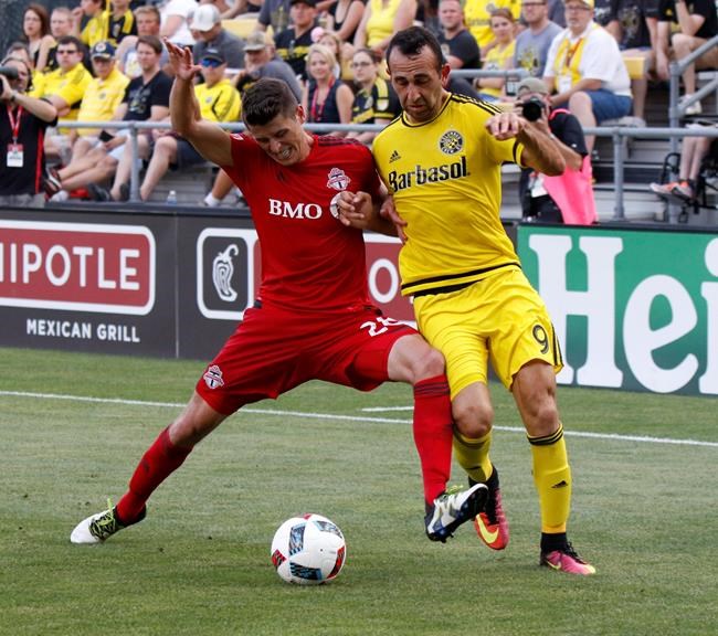 Hamilton's goal gives Toronto FC 1-1 draw with Crew | iNFOnews.ca