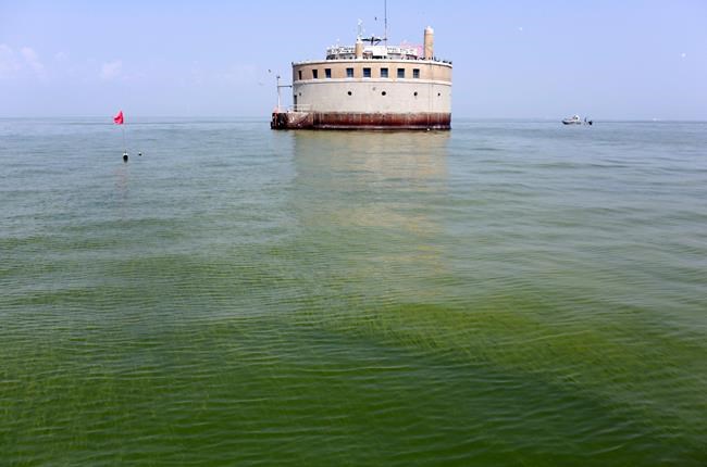 Researchers creating warning system for toxic algae in lakes | iNFOnews.ca