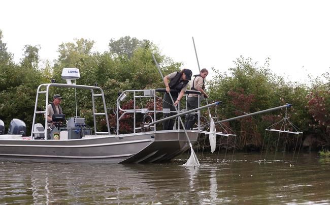 Evidence of invasive grass carp signals threat to Lake Erie | iNFOnews.ca CP387206010