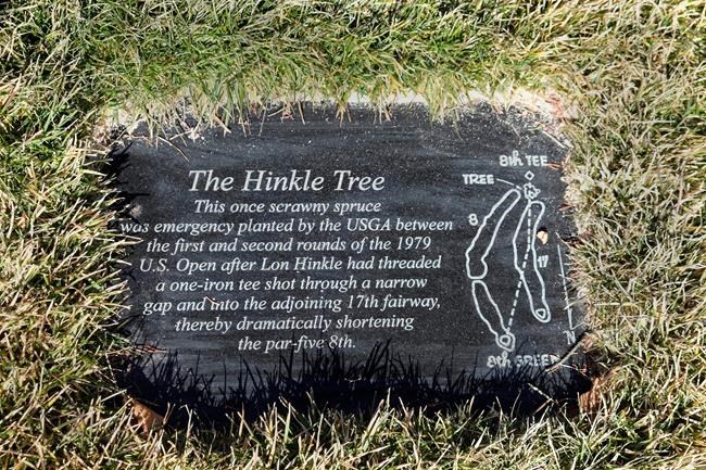 Golf's famous 'Hinkle Tree' from '79 Open uprooted by wind | iNFOnews.ca