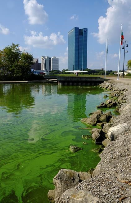 Ohio mayor asks Trump for help combating Lake Erie algae | iNFOnews.ca