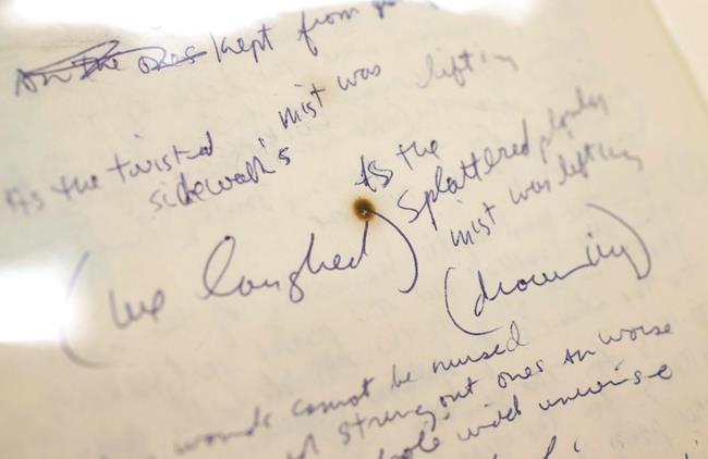 Bob Dylan archives open in Oklahoma; public centre planned | iNFOnews.ca