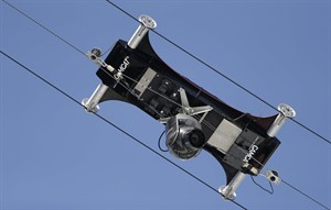 CP27150335