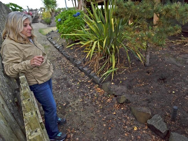 Wild rabbit population in Cannon Beach gets some hopping mad | iNFOnews.ca