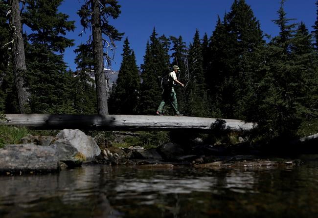 Forest Service closer to wilderness area permit proposal | iNFOnews.ca