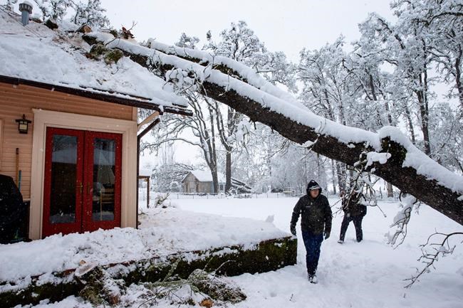 100 mph winds in Sierra, snow from Oregon to Montana | iNFOnews.ca 100 mph winds in Sierra, snow from Oregon to Montana | iNFOnews.ca