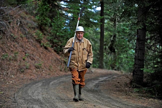 Parsons family ensures forest will stay as is | iNFOnews.ca