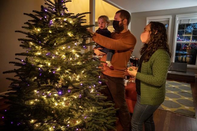 Many turn to real Christmas trees as bright spot amid virus | iNFOnews.ca