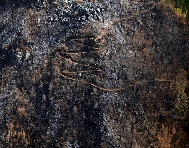 Teen who ignited massive fire may have to repay $37 million | iNFOnews.ca
