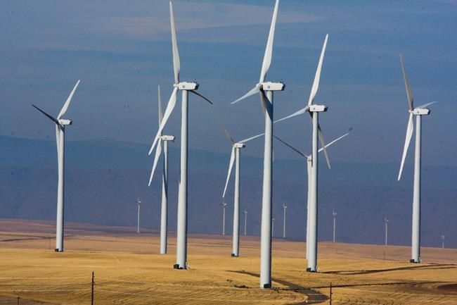 Trump's victory creates uncertainty for wind and solar power | iNFOnews.ca CP2122690588