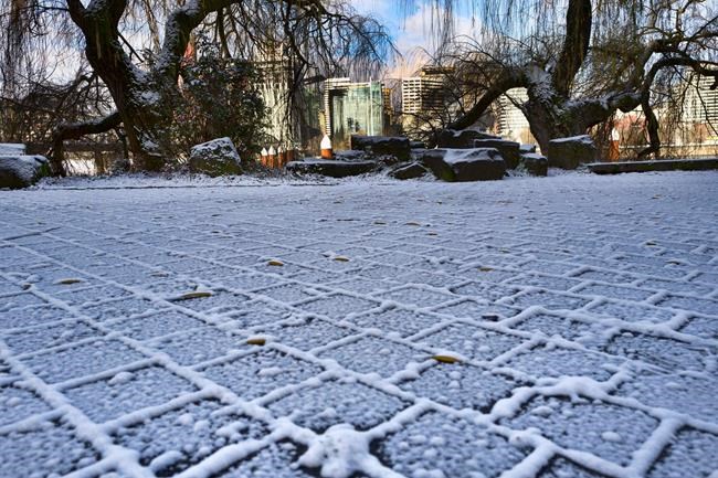 Snow blankets Utah as winter storms pounds West | iNFOnews.ca Snow blankets Utah as winter storms pounds West | iNFOnews.ca
