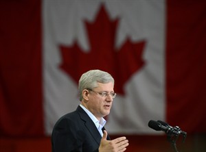 CP24588780