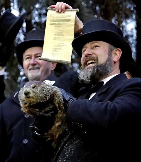 Groundhog doesn't see his shadow, predicting early spring | iNFOnews.ca
