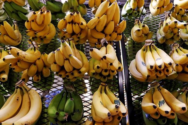 Wholesale prices post modest increase in June | iNFOnews.ca