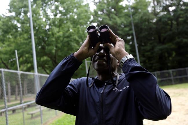Black bird watchers draw attention to racial issues outdoors | iNFOnews.ca CP525280873