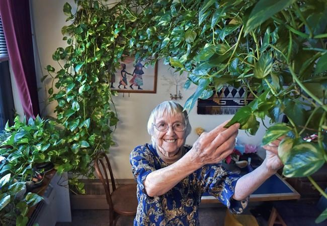 Dying woman seeks caregiver for beloved 15-foot-long plant | iNFOnews.ca CP1863005736