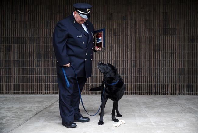 Philadelphia Fire Department arson dog is retiring | iNFOnews.ca CP526009343