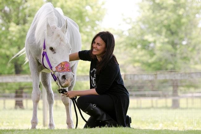 Jon Stewart adopts paint-covered horse; ex-owner backs care | iNFOnews.ca