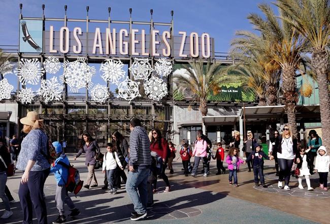 Comedian posts fake animal facts around Los Angeles Zoo | iNFOnews.ca
