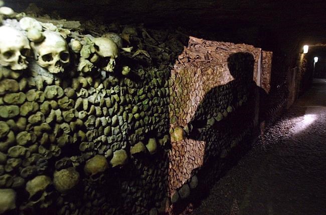 Sour grapes: Robbers empty Paris cellar of vintage wines | iNFOnews.ca