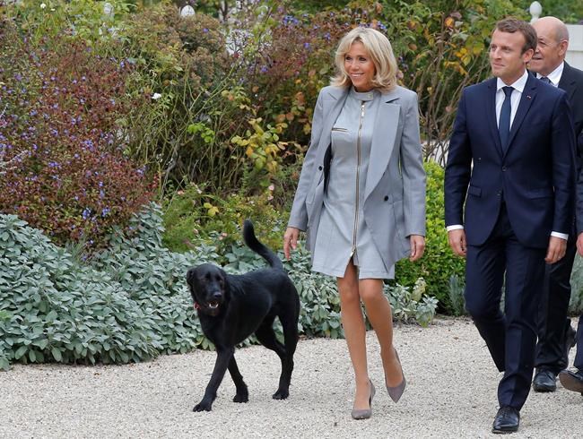 Macron's dog pees on Elysee Palace fireplace as cameras roll | iNFOnews.ca CP391948935