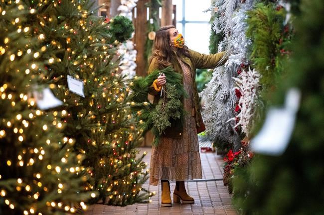 VIRUS TODAY: Black Friday shoppers stay home | iNFOnews.ca