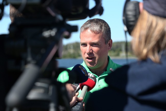 Former Newfoundland Liberal to run in federal election as an Independent | iNFOnews.ca CP34158569