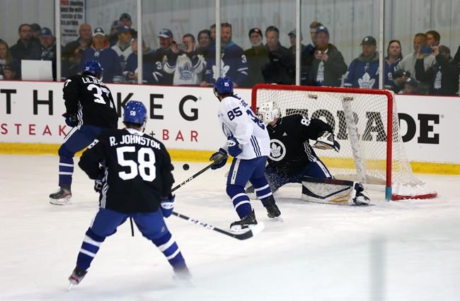 Leafs coach Mike Babcock knows he could be on the hot seat if Toronto falters | iNFOnews.ca