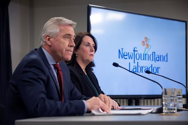 Muskrat Falls report slams executives, politicians for failing N.L. residents | iNFOnews.ca Muskrat Falls report slams executives, politicians for failing N.L. residents | iNFOnews.ca
