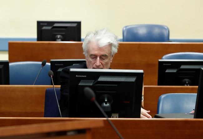UN prosecutor seeks life term for Karadzic at appeal hearing | iNFOnews.ca