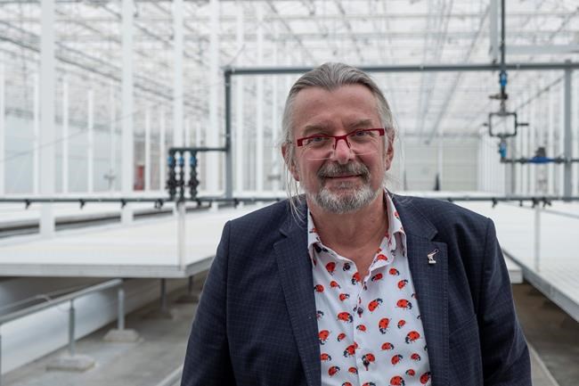 Drones vs hungry moths: Dutch use hi-tech to protect crops | iNFOnews.ca Drones vs hungry moths: Dutch use hi-tech to protect crops | iNFOnews.ca