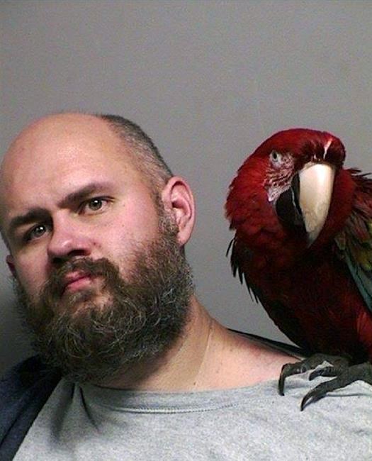 Macaw poses in man's mug shot after unlucky court appearance | iNFOnews.ca Macaw poses in man's mug shot after unlucky court appearance | iNFOnews.ca
