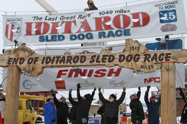 Doping scandal roils another sport: Dogsledding | iNFOnews.ca CP2068421859