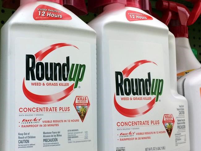First trial over Roundup weed killer cancer claim under way | iNFOnews.ca First trial over Roundup weed killer cancer claim under way | iNFOnews.ca