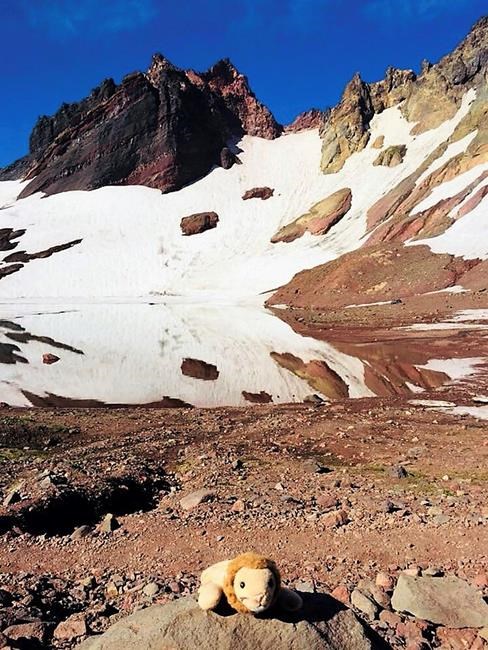 Oregon woman reunites girl with toy lion lost on remote hike | iNFOnews.ca