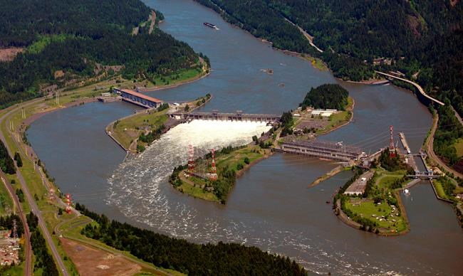 Court OKs boosting water spill to aid fish at Northwest dams | iNFOnews.ca
