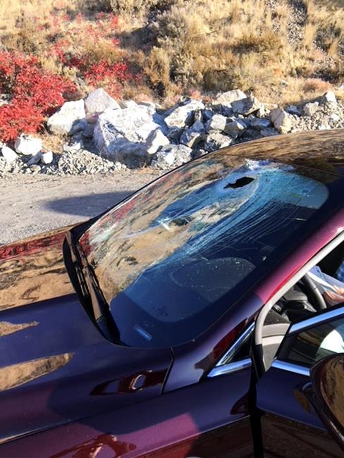 Bighorn sheep jumps off hill, lands on car in Washington | iNFOnews.ca Bighorn sheep jumps off hill, lands on car in Washington | iNFOnews.ca