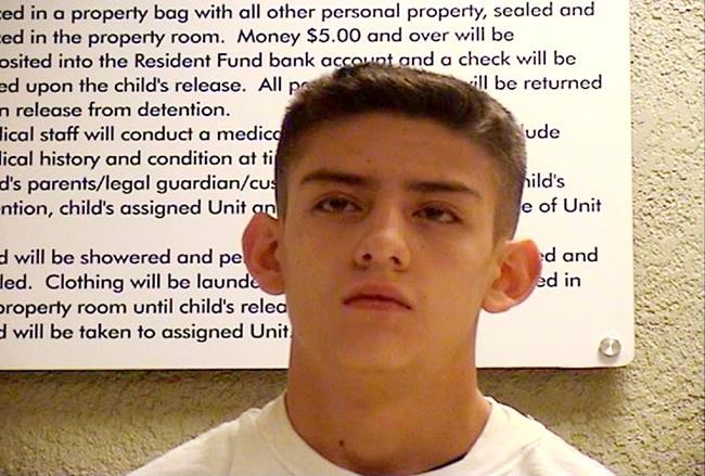 Appeal court weighs teen's sentence in 2013 family killing | iNFOnews.ca