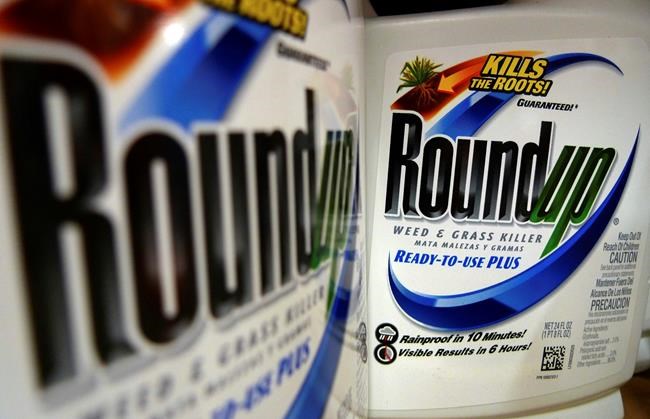 Monsanto asks judge to throw out $289M award in cancer suit | iNFOnews.ca Monsanto asks judge to throw out $289M award in cancer suit | iNFOnews.ca