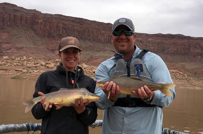 Another rare fish pulled back from extinction | iNFOnews.ca Another rare fish pulled back from extinction | iNFOnews.ca